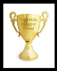 Versatile_Blogger_Award_ Trophee