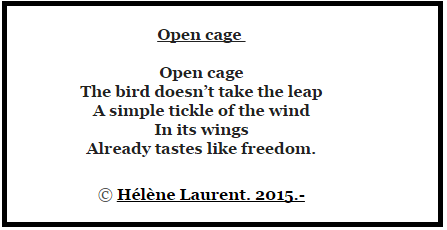OPEN CAGE
