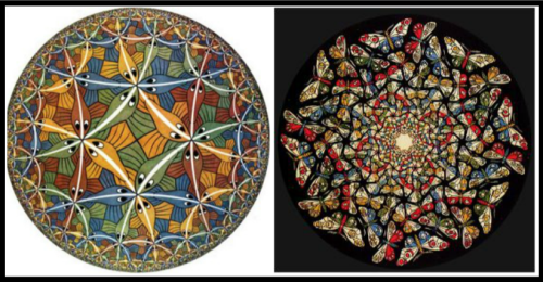 On the Left: Hyperbolic tessellation: Circle Limit III, by M. C. Escher. 1959. On the right: Butterfly by M. C. Escher. 1960´s.